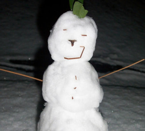 6-Inch Snowman. Decorated with pine needles and oak leaf.